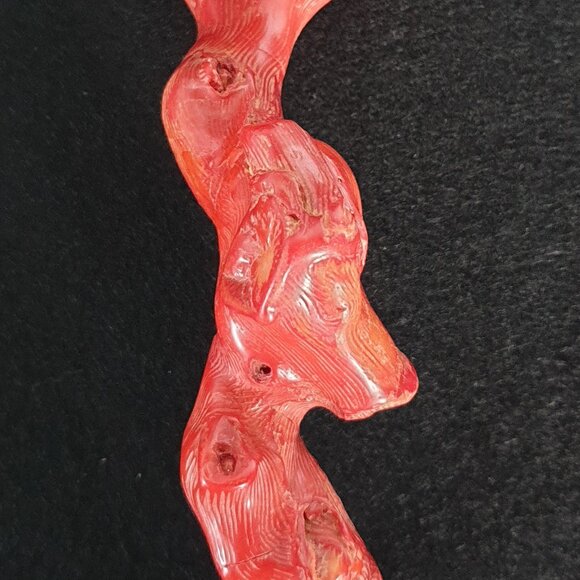 Rare Antique 575 Carat (115 gram) Natural Mediterranean Red Coral Branch - Picture 5 of 11